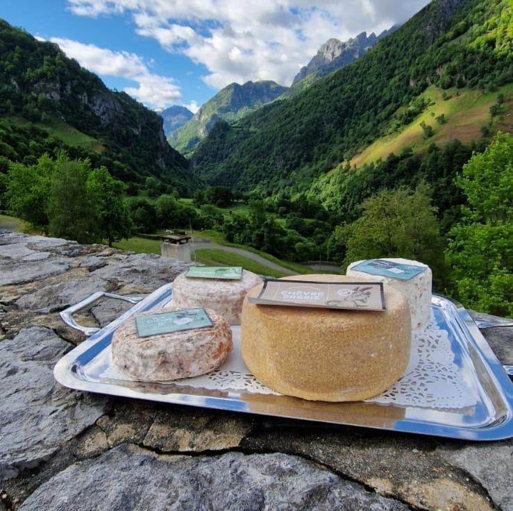 Chateau D'Arance Hotel Restaurant Espace Bien-Etre Cette-Eygun Luaran gambar